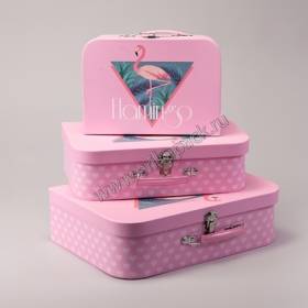 Набор чемоданчиков   для цветов Фламинго 